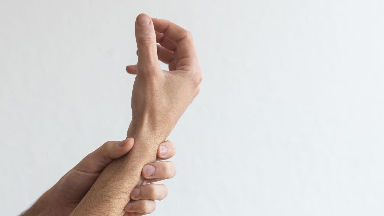 Anatomia de la mano